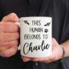 This Human Belongs To, Cat Photo Mug, Cat Parent Mug, Cat Lover Gift, Cat Mum Mug, Cat Dad Mug, Name Mug, Cat Owner Gift, Christmas Gift - Image 3