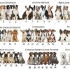 Shetland Sheepdog, Dog Loss Gift, Pet Memorial Gift for Christmas, Keepsake for Dog Lover, Custom Dog Ornament, Dog Passed Away, Angel Dog - Image 4