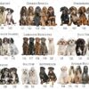 Bernese Mountain Dog, Personalised  Birthday Ornament, Birthday Keepsake, Custom Dog Ornament, Pet Lover Personalized Bauble UK, Birthday - Image 4
