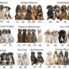 Cocker Spaniel, Dog Loss Gift, Pet Memorial Gift for Christmas, Keepsake for Dog Lover, Custom Dog Ornament, Dog Passed Away Gift, Angel Dog - Image 6