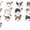 Dachshund, Personalised  Christmas Ornament, Christmas Tree Ornament, Custom Dog Ornament, Pet Lover, Personalized Bauble UK - Image 3