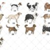 Bloodhound, Personalised  Christmas Ornament, Christmas Tree Ornament, Custom Dog Ornament, Pet Lover, Personalized Bauble UK - Image 3