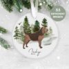 Bloodhound, Personalised  Christmas Ornament, Christmas Tree Ornament, Custom Dog Ornament, Pet Lover, Personalized Bauble UK