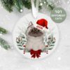 Ragdoll Cat Breed, Personalised  Christmas Ornament, Christmas Tree Ornament, Custom Cat Ornament, Pet Lover, Personalized Bauble, Ceramic