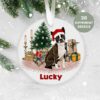 Boston Terrier, Personalised  Christmas Ornament, Christmas Tree Ornament, Custom Dog Ornament, Pet Lover, Personalized Bauble UK