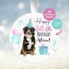 Bernese Mountain Dog, Personalised  Birthday Ornament, Birthday Keepsake, Custom Dog Ornament, Pet Lover Personalized Bauble UK, Birthday