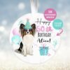 Papillon Gift, Personalised  Birthday Ornament, Birthday Keepsake, Custom Dog Ornament, Pet Lover Personalized Bauble UK Birthday Gift