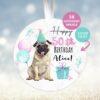 Pug Gift, Personalised  Birthday Ornament, Birthday Keepsake, Custom Dog Ornament, Pet Lover Personalized Bauble UK, Birthday Gift