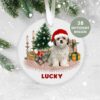 Shih Tzu, Dog Christmas Decoration , Personalised  Christmas Ornament, Custom Dog Ornament, Pet Lover Personalized Bauble UK